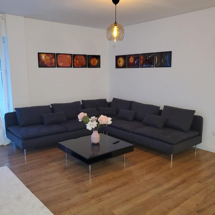 Galaxy Residence Villa Otopeni Extérieur photo